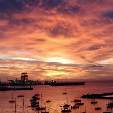 Calandria Palmas * Las Palmas de Gran Canaria