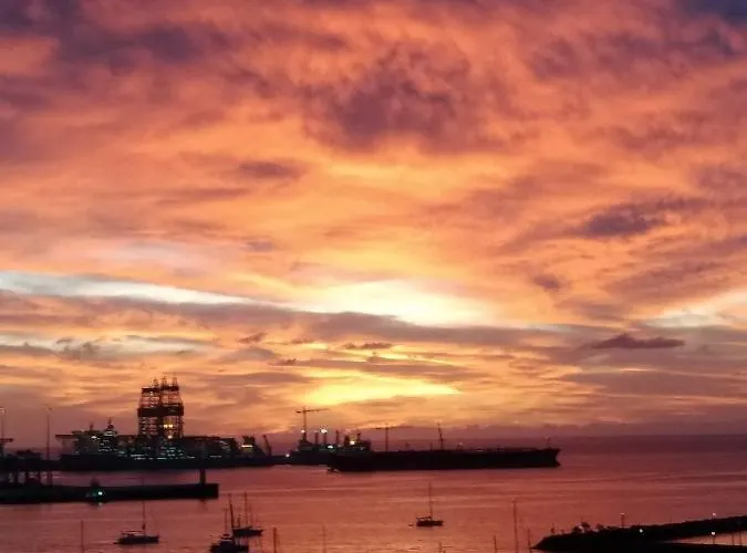 Calandria Palmas * Las Palmas / Gran Canaria
