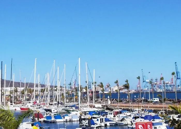 Calandria Palmas Las Palmas de Gran Canaria